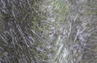 Wheaton Aston fibreglass roof work